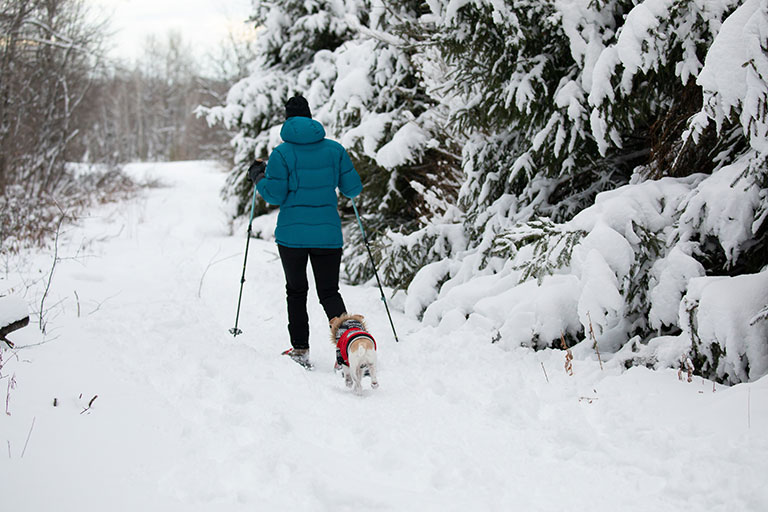 Les raquettes à neige